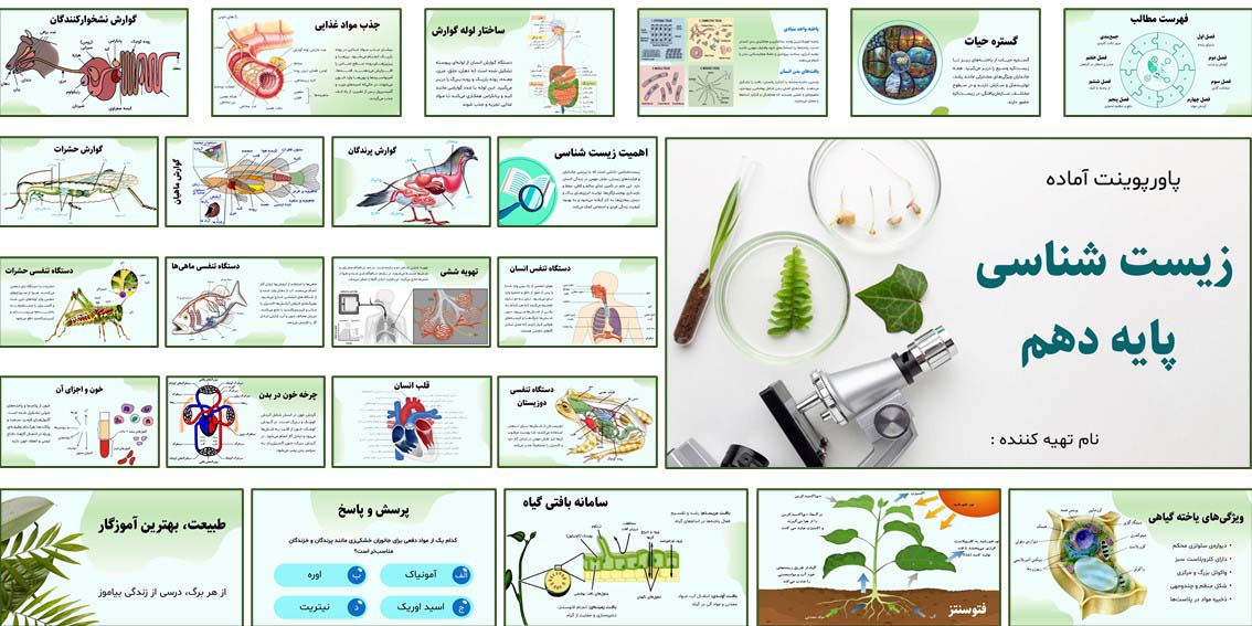 تصویر اسلایدهای نمونه پاورپوینت زیست شناسی پایه دهم با طراحی حرفه‌ای، شامل ۶۰ اسلاید متحرک و کامل را نشان می‌دهد. مناسب تدریس، آموزش آنلاین و ارائه دانش‌آموزی.