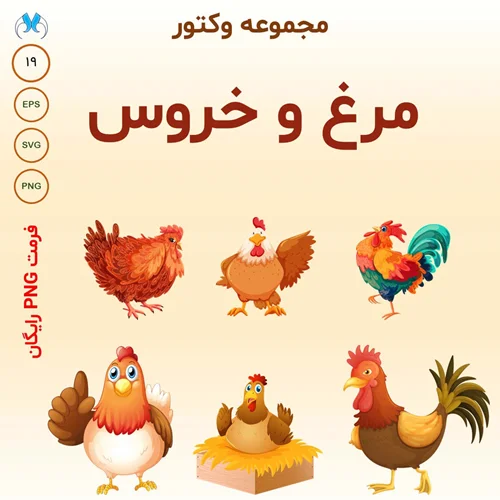 وکتورهای جذاب مرغ و خروس برای طراحیهای شما | فرمتهای EPS و SVG
