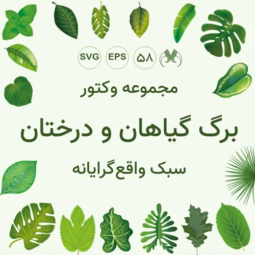 بسته وکتور برگ گیاهان به سبک واقعگرایانه | فایل EPS و SVG با کیفیت بالا