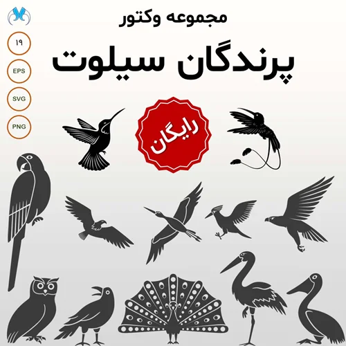 وکتورهای جذاب پرندگان سیلوئت برای طراحیهای خاص | دانلود رایگان