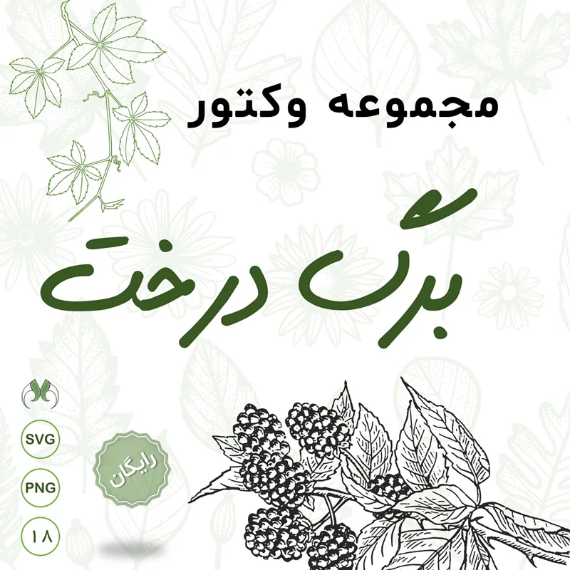 بسته رایگان وکتور برگ درخت | 18 طرح زیبا و متنوع